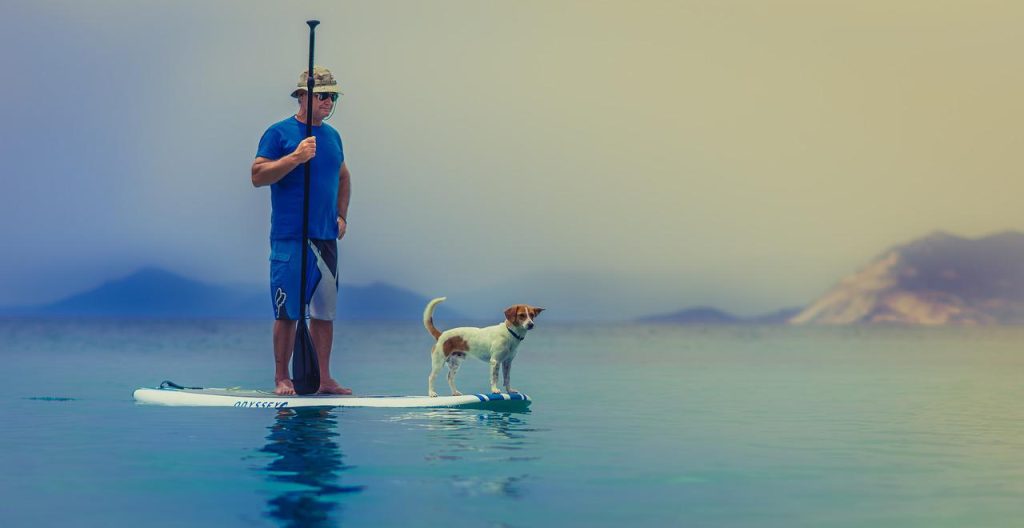 stand-paddle-sport